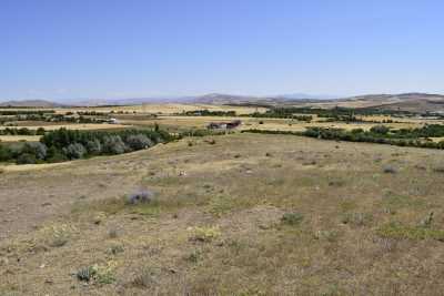 Harabetepe Höyüğü